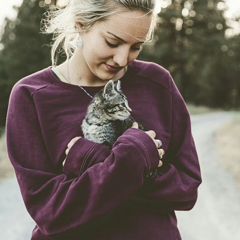 Le CBD pour apaiser les démangeaisons chez les chats